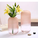 Gradual Frosted Glass Vase Floral Arrangement Accessories Hydroponics Terrarium Transparent Flower Home Decoration