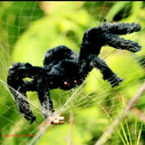 Super big plush spider made of wire and plush black and multicolour style for party or halloween decorations 1Pcs 30cm,50cm,75cm