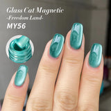 10ml Winter Water Light Cat Magnetic Gel Nail Polish Nail Supplies Vernis Semi Permanent Gel Christmas Xmas Gel