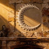 Spinal Cord Moon Wall Hanging Gothic Home Decor Living Room Wall Art Ornament Dissecting Wall Decorations Using Bone Moon Art