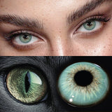Yearly Disposable Cat Eyes Colored Contact Lenses 1 Pair Grey Brown Natural Small Pupil Beauty Makeup Color Contacts