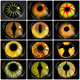 1Pair Color Contact Lenses For Eyes Anime Cosplay Colored Lenses Yellow Multicolored Lenses Contact Lens Beauty Pupils