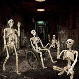 2 Pack 36"Halloween Skeleton - 3 ft Life Size Human Skeleton with Full Body Posable Joints Plastic Skeleton for Halloween Skele