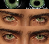 2Pcs Colored Contacts Lenses Natural Blue Gray Beauty Lenses Brown Makeup Lenses Green Eye Contact Yearly Soft Eye Lens