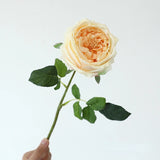 5pcs/lot True Touch Artificial Tea Rose Branch Wedding Floral Simulation Flowers Latex Austin Roses Fake Flower Hotel Decoration