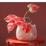 Glass Vase Hand Basket Bag Pink Clear Bottle Terrarium Flower Hydroponics Home Decoration Accessories Vases Pots