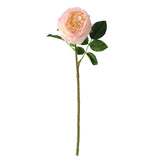 5pcs/lot True Touch Artificial Tea Rose Branch Wedding Floral Simulation Flowers Latex Austin Roses Fake Flower Hotel Decoration