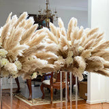 50-60cm Natural Fluffy Large Pampas Grass Wedding Arch Decor Dried Artificial Plants Pampas Home Decoration Outdoor Dry Flower