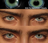 2Pcs Colored Contacts Lenses Natural Blue Gray Beauty Lenses Brown Makeup Lenses Green Eye Contact Yearly Soft Eye Lens