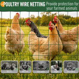 16 Gauge 4ft x 100ft PVC Coated Green Welded Wire Fence 2.36x2.36in Mesh Heavy Duty Hardware Cloth for Chicken