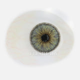 Contact Lenses Gray Green Colored Contacts Mixed Eyes Look Bright Deep Eyes Natural Enlarging Effect Lentes De Contacto