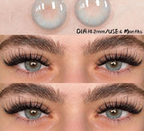 1pair New Color Contact Lenses Blue Eyes Lenses Natural Gray Eye Contact Brown Cosmetic Contact Green Lens 6 Months Use
