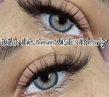 Color Pupils Soft Contact Lenses High Quality Brown Lenses Gray Beauty Pupils Blue Green Colored Lens Yearly Disposable