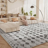 Fluffy Soft Bedside Rug Modern Style Carpets for Living Room Large Area Bedroom Decor Plaid Pattern Carpet Thick Plush Study Mat