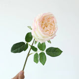 5pcs/lot True Touch Artificial Tea Rose Branch Wedding Floral Simulation Flowers Latex Austin Roses Fake Flower Hotel Decoration