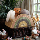 Rainbow Book Storage Basket Desktop Sundries Organizer Creative Stationery Storage Basket for Home Office Use Household Goods