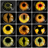 1 Pair Cosplay Contact Lenses Multicolored Contact Lenses Anime Lenses Halloween Makeup Eye Yellow Lenses Color Leneses