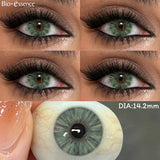 2pcs Colored Contact Lenses Gray Eye Contact Lens Green Eye Lenses Yearly Eye Makeup Beauty Lens for Dark Eyes