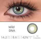 Love Story series Multiple colors Natural soft Contact lenses Blue Lenses Green Pupils Lens Yearly Cosmetic