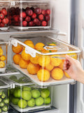 Refrigerator Organizer Containers Food-grade Vegetable Fruit Sealed Preservation Box Fridge Freezer Containers Kitchen Organizer