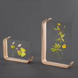 Acrylic Wooden Photo Frame Herbarium Display Frame Calendar DIY Frame Photo Frames For Wedding Party Picture Frame Photo Decor