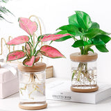 Mini Hydroponic Flower Pot  Home Vase Decor Transparent Imitation Glass Soilless Plant Pots garden pots planters Home Decoration