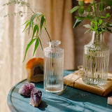 Transparent Glass Vase Hydroponic Plant Vase Nordic Minimalist Stripes Terrarium Crafts Home Living Room Table Decoration Gift