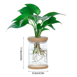 Mini Hydroponic Flower Pot  Home Vase Decor Transparent Imitation Glass Soilless Plant Pots garden pots planters Home Decoration