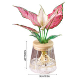 Mini Hydroponic Flower Pot  Home Vase Decor Transparent Imitation Glass Soilless Plant Pots garden pots planters Home Decoration
