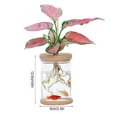 Mini Hydroponic Flower Pot  Home Vase Decor Transparent Imitation Glass Soilless Plant Pots garden pots planters Home Decoration