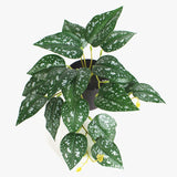 26CM Artificial Green Plants Plastic Mini Vines Fake Flower Wedding Decoration Landscaping Hotel Office Shop Home Deco Accessori